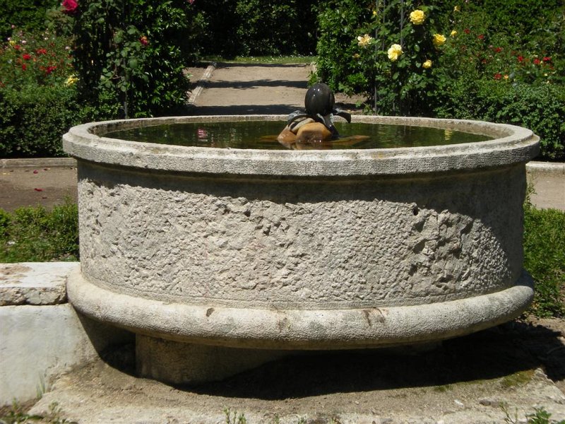 Original image